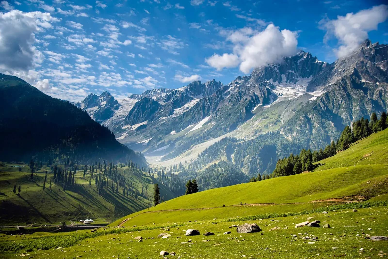 Kashmir & Vaishno Devi 8D/7N